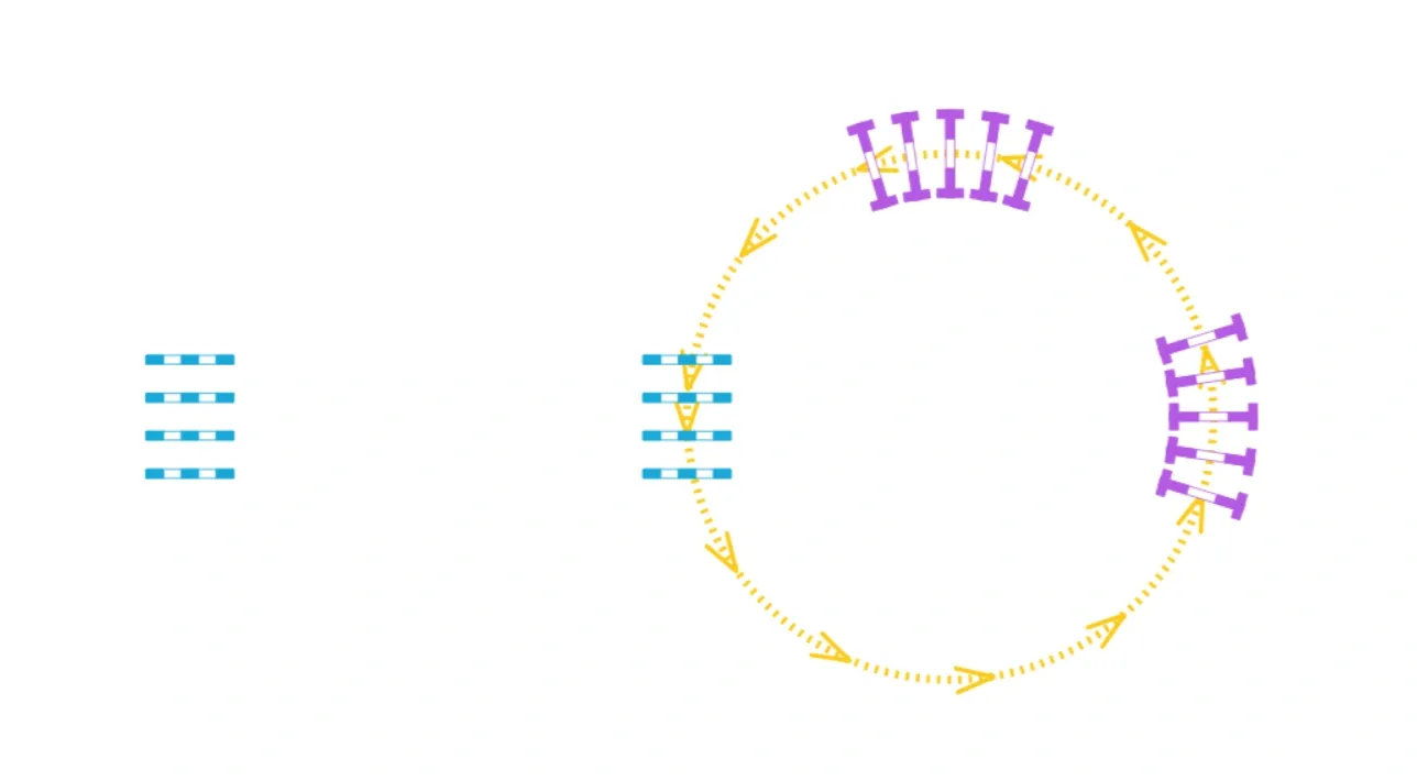 Circle through the cavaletti fans