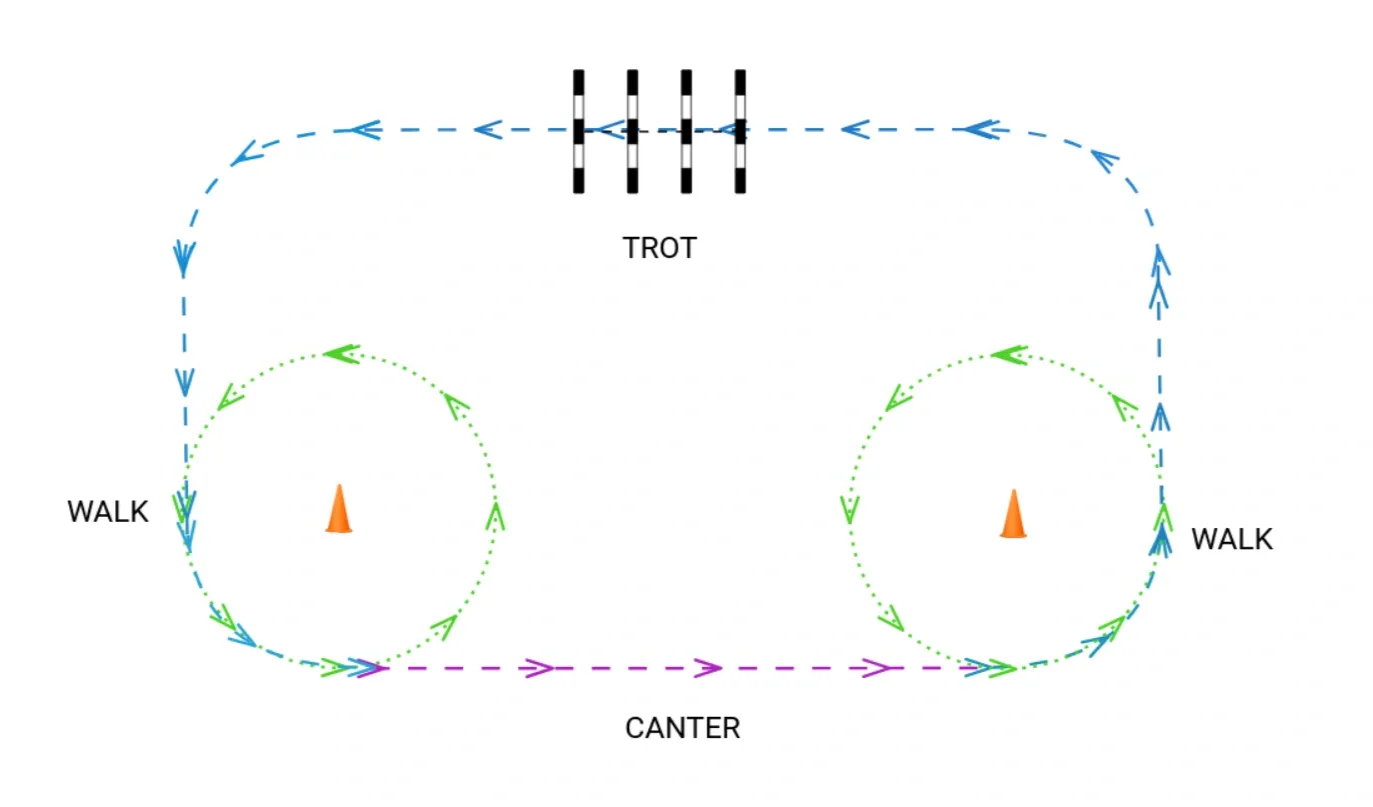 Training exercise with poles and circles around cones