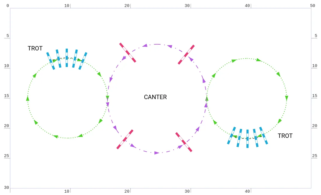 Training course plan with green and purple sections and curved lines of trot poles